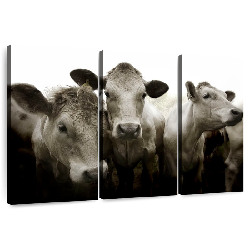 Three White Cows, 24" H x 38" W