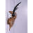 Bull Skull Life Size Statue-1445901555