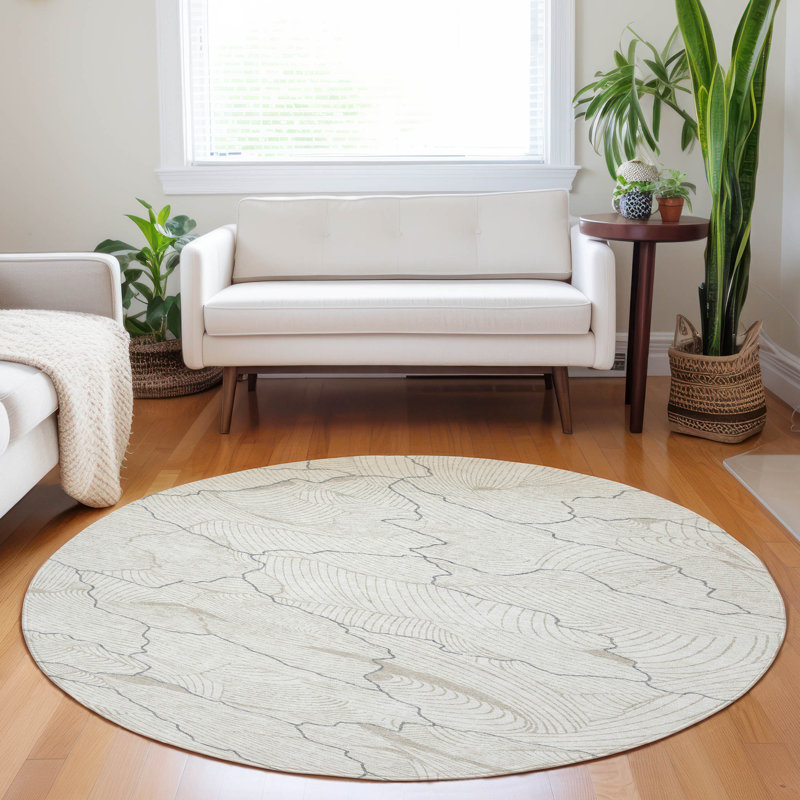  Machine Washable Indoor/Outdoor Chayden ACN1048 Rug, Round 8'
