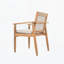 Chaise de salle à manger d'extérieur (ensemble de 2)