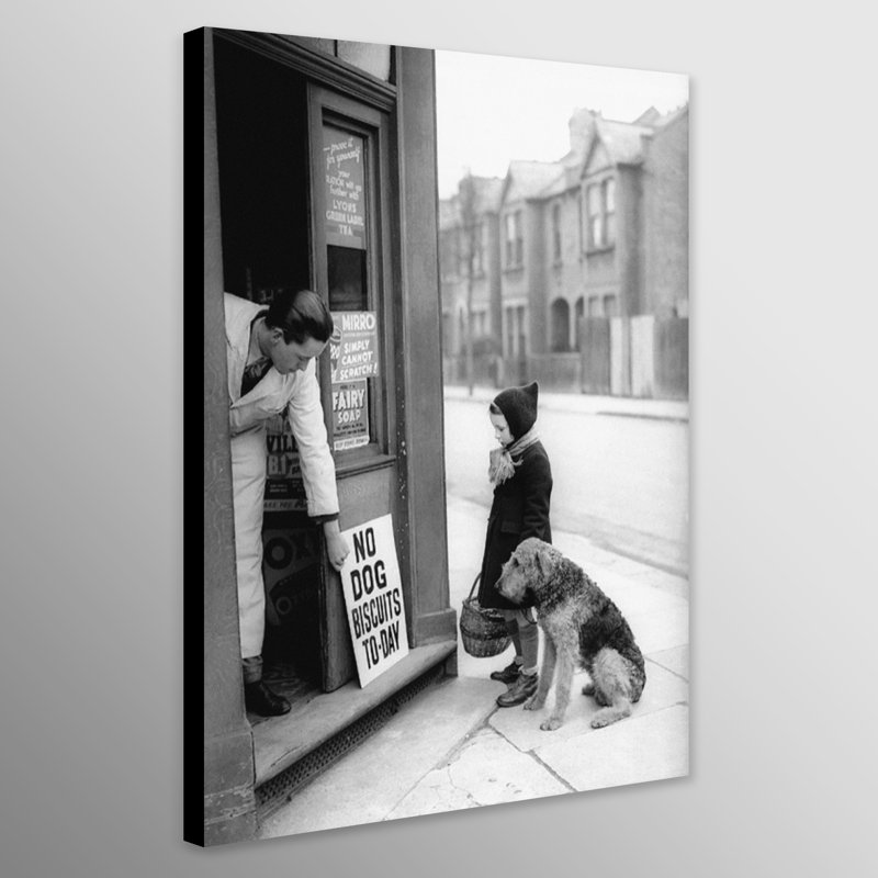 No Dog Biscuits - Wrapped Canvas Print, 41cm H x 31cm W x 4cm D
