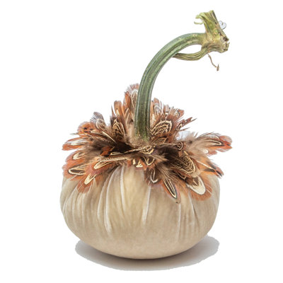 5" Cream Pumpkin w/Pheasant Feather Collar