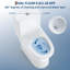 Toilette allongée blanche confort, double chasse 3 / 4,8 L, siège à fermeture douce, conception moderne d'une seule pièce