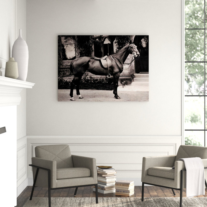 The Victorian Horse Print by Sofia Fox, Outdoor, 54" H x 82" W x 1.5" D