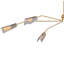 Hinkley Altman Chandelier-865241949