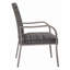 2PC Outdoor  Dining Chair, Hand -painted frame, water washed cotton  Seat for Garden, Backyard, Poolside