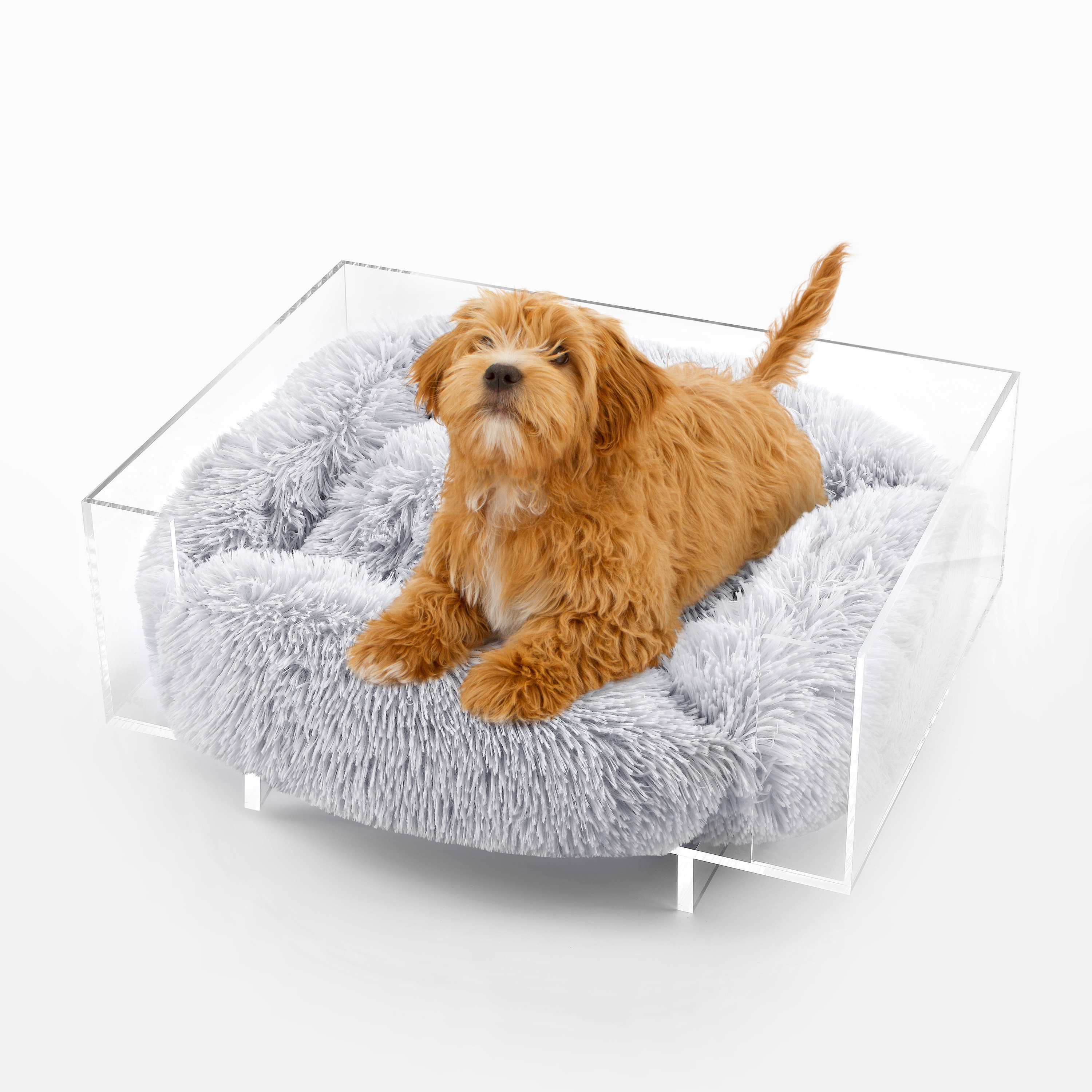 Tucker Murphy Pet™ Filiasse Lucite Calming Fluffy Pet Bed with Washable ...