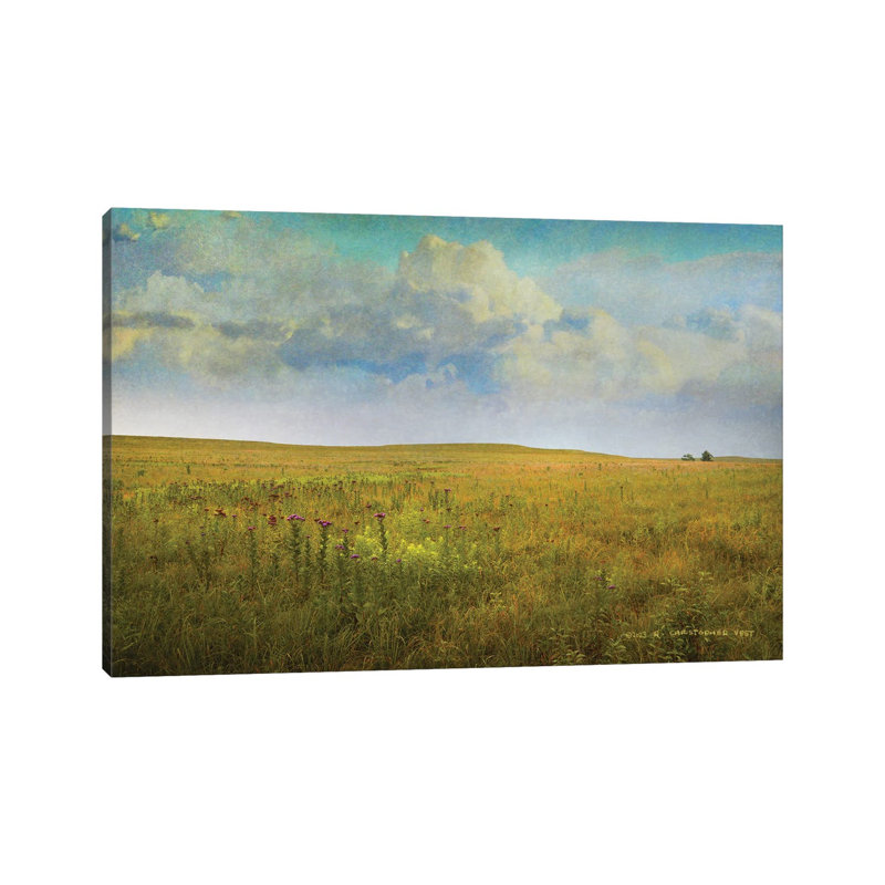 Tallgrass Prairie - reproduction d'art murale - toile encadrée, H 12 po x l 18 po, Toile tendue, Ne s’applique pas