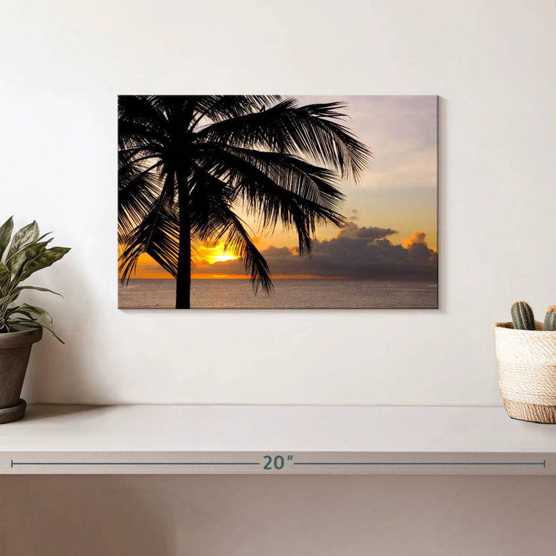 Barbados Coconut Tree