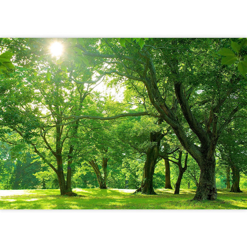 Sunshine Vibrant Green Tree Forest, 100" L x 144" W