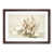 Walnut Framed
