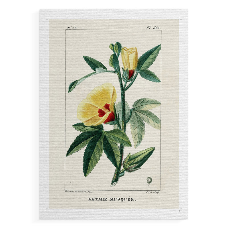 Turpin Tropical Botanicals VI - Impression sur toile seulement - NON-CADRE, H 36 po x l 24 po