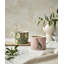 MUGS S/2 PIMPRNL & FORST HARE