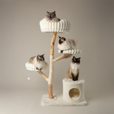 Scratching Post