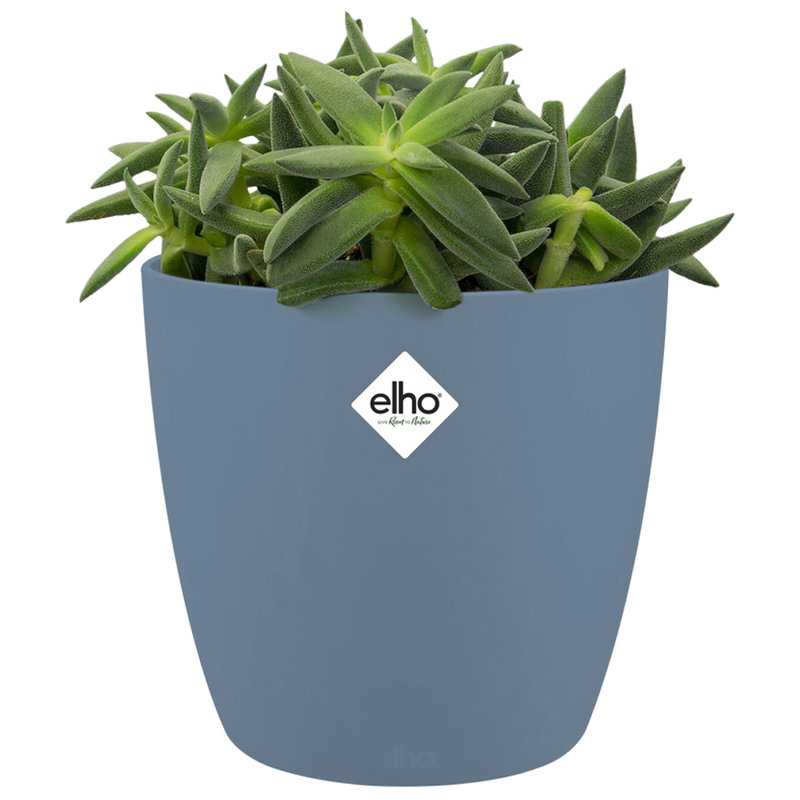 Pot Planter, Blue, 16cm H x 15cm W x 15cm D