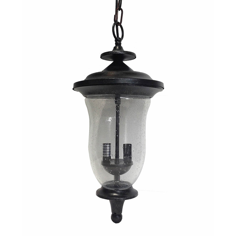Lanterne suspendue d'extérieur à 2 lumières H 21,75 po Hersey Silver, Noir