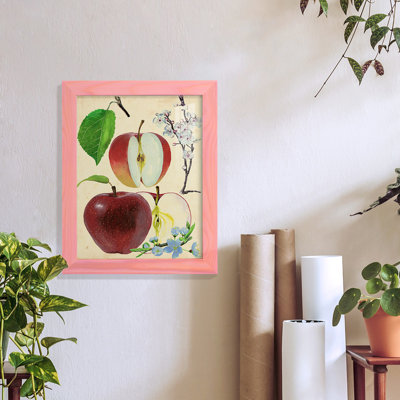 Apple & Blossom Study II " Apple & Blossom Study II "