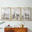 ANIMALS Series CCLxxxvii - Impression personnalisée de qualité supérieure avec passe-partout - 3 pièces-62271612