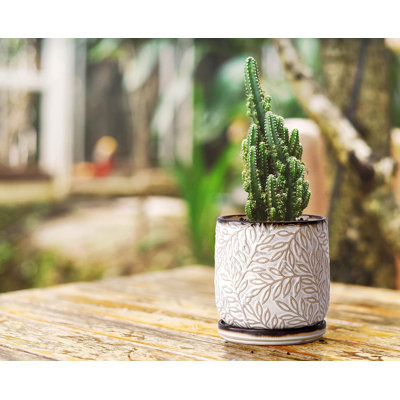 Ceramic Planter
