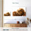 Gerbilles endormis-299669602