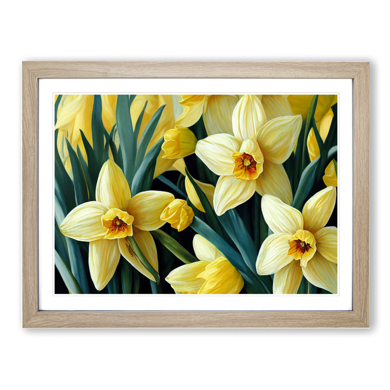 Bewitching Daffodil Flowers - Single Picture Frame Print, 34cm H x 46cm W x 2cm D, Oak Framed