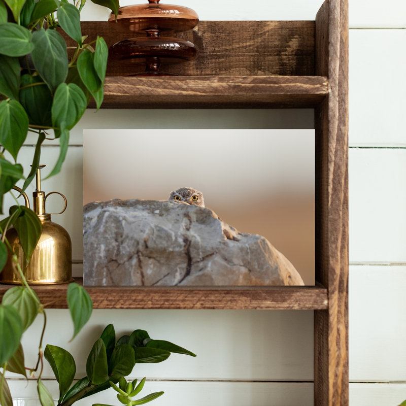 Peeking Owl Eyes Abstract Contemporary Bird Owl Forest Landscape Wall Art Print, 30.48cm H x 45.72cm W