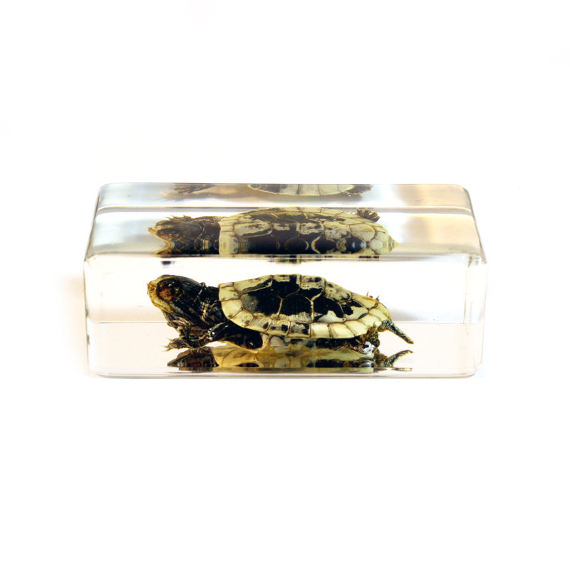 Auten Animals Figurines & Sculptures