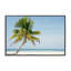 Giclée encadrée de palmier Barrier Reef Island, design par Danita Delimont-597781439-597781438