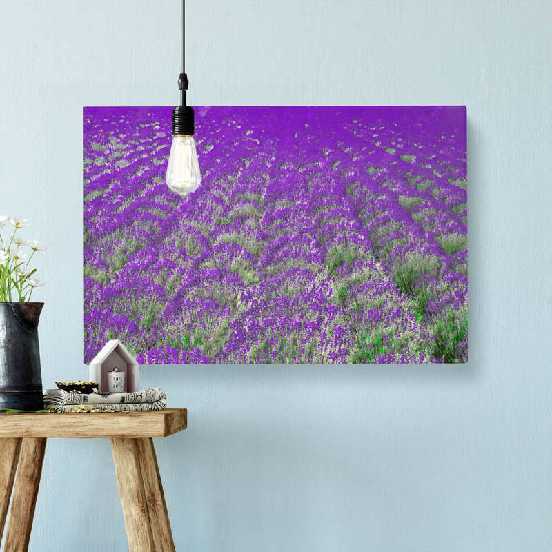 Field Of Lavender - Wrapped Canvas Print, 40cm H x 60cm W x 3cm D