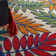 Eaglin Floral Indoor Rug