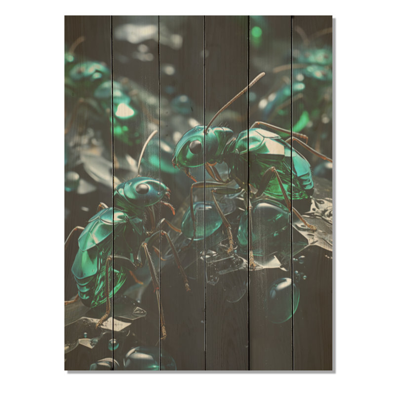 Emerald Explorations Ants - Fourmis, art mural sur bois de pin naturel, H 20 po x l 10 po