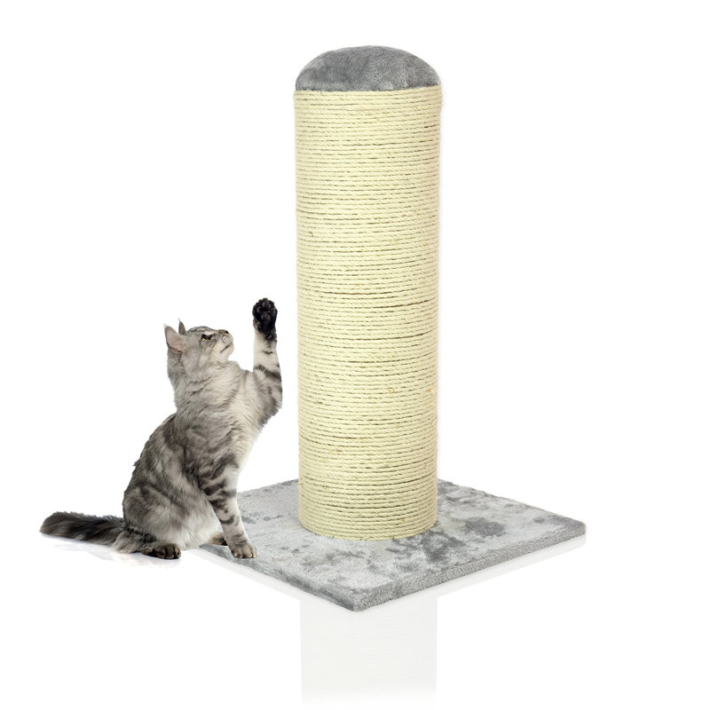 Evelynn Scratching Post