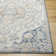 Demontra Oriental Machine Woven Polypropylene Area Rug in Coral/Blue