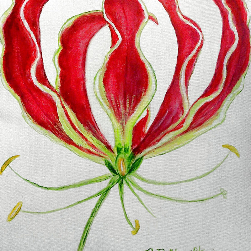Housse et insert de coussin d'extérieur carré Lily Lily, Petit