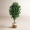 72'' Faux Ficus Tree in Burlap, Cotton Planter