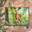 Bloc de bois cerf forest Scholl-762949777