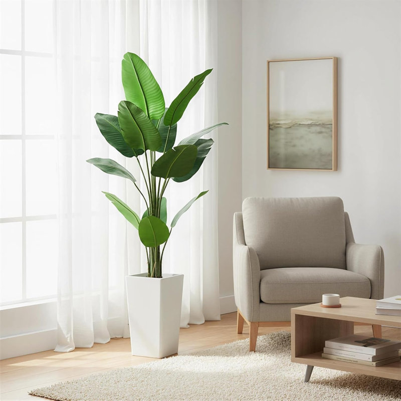 147cm Plant