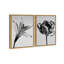 Peeking Flowers Set Set by Oliver Gal-351033425-351033428