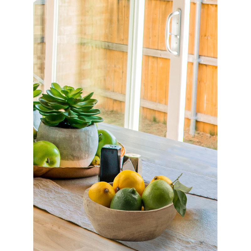 Millwood Pines Pelagios Teak Serving Bowl
