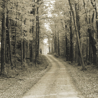 Vermont Country Road - sépia