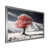 Silver Single Picture Framed