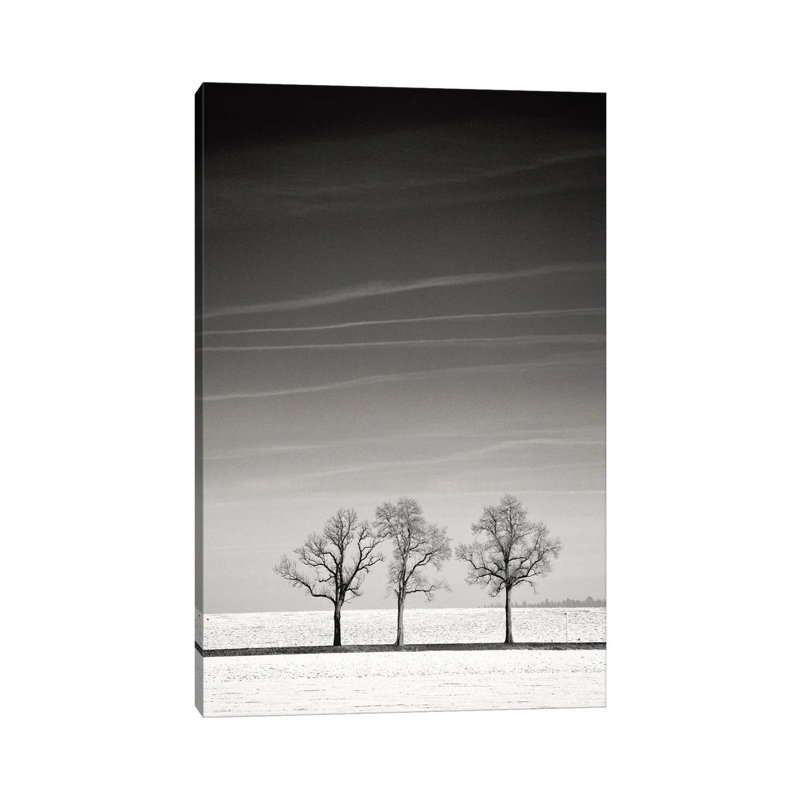 Troika by Lena Weisbek - Wrapped Canvas Print, 20.32 cm H x 30.48 cm W