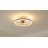 Ceiling Fan With Lights Dimmable LED