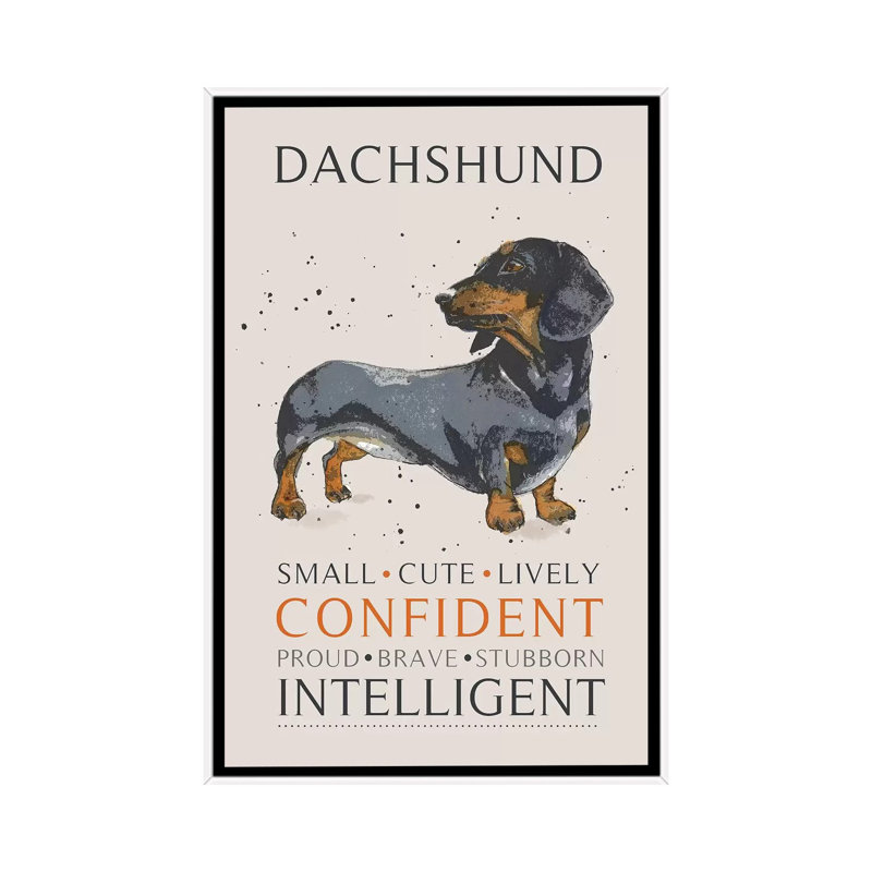 Dachshund by Michelle Campbell - Print on Canvas, 66.04 cm H x 45.72 cm W, White Framed
