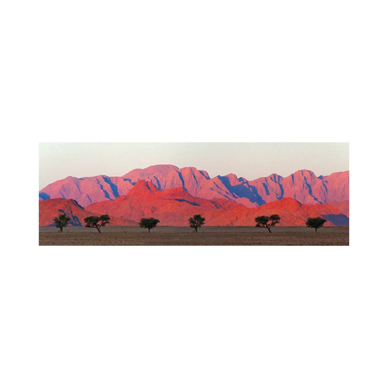 Tree With Mountain In Southern Namib Desert, Sesriem by Keren Su - Wrapped Canvas Panoramic Painting