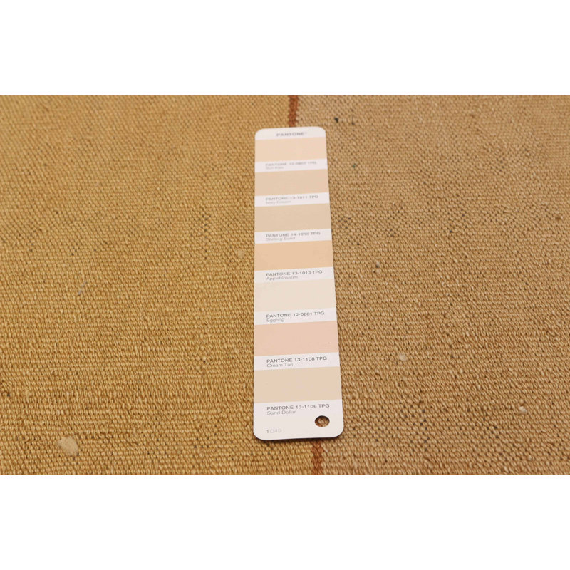 Boho brun clair Kilim 9 pi 6 po x 13 pi 3 po