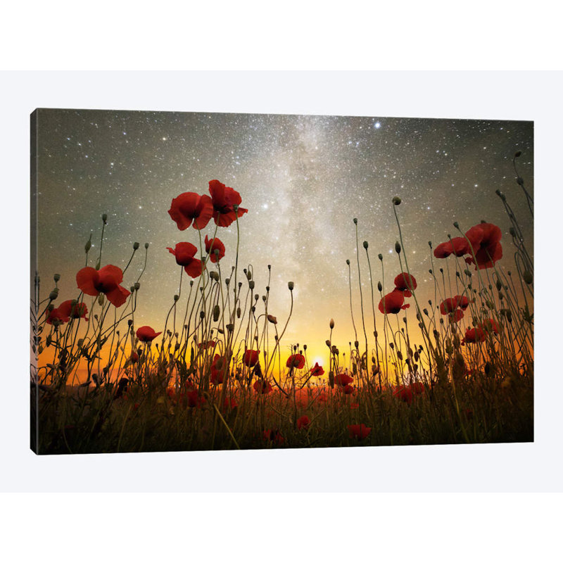 Adrian Borda - Wrapped Canvas Print, 66.04 cm H x 45.72 cm W x 1.91 cm D
