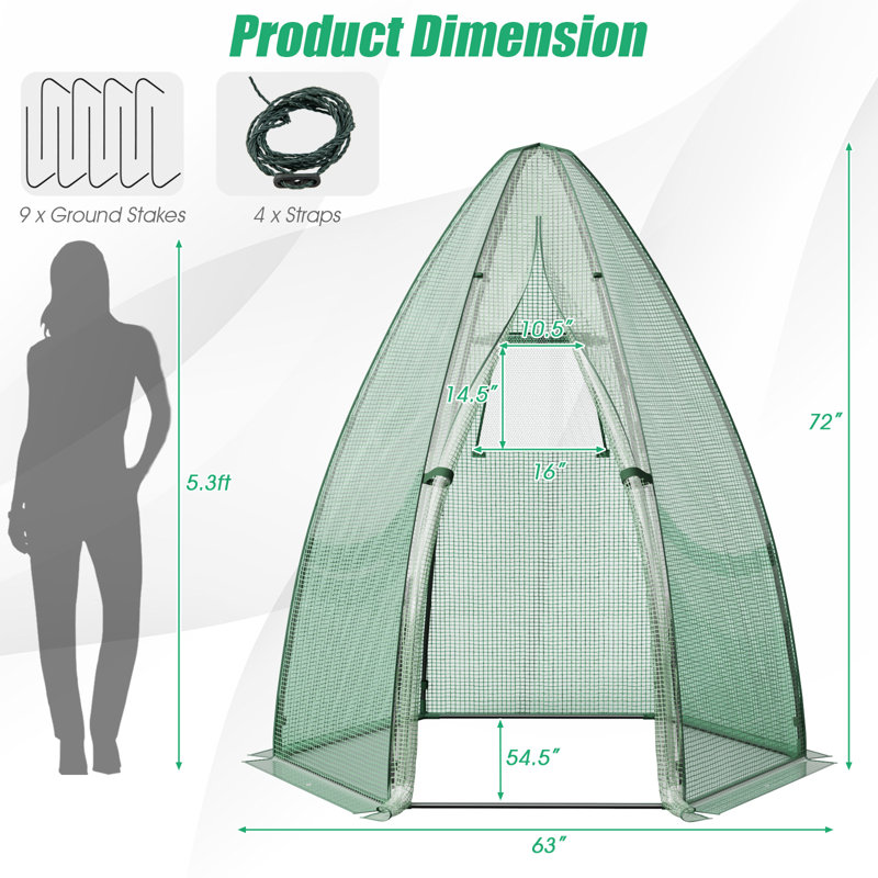 Serre hexagonale avec porte et fenêtre enroulable l 63 po x P 63 po