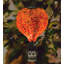 Lanterne solaire Murano HAB - orange