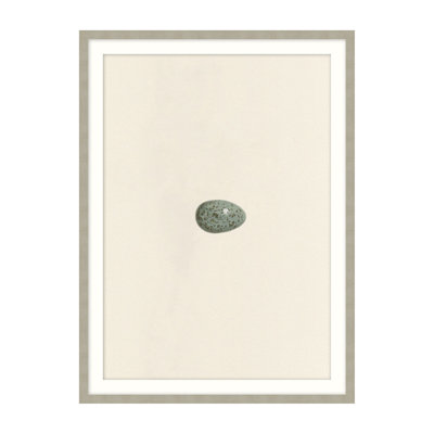 Unhatched 5 Illustration by Studio L57 Nouvelle
